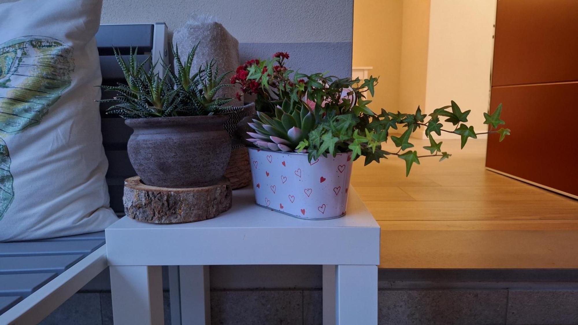 La Tana Del Geco Bed & Breakfast Iseo Bagian luar foto